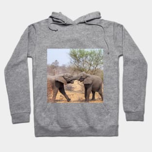 Two African Elephants Fighting with Trunks Hoodie